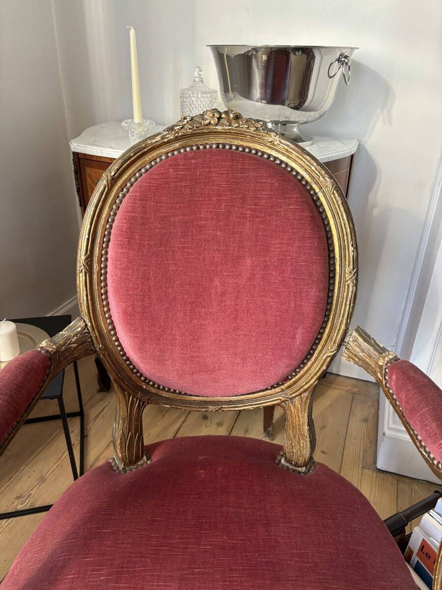 Paire de fauteuils médaillon Louis XVI