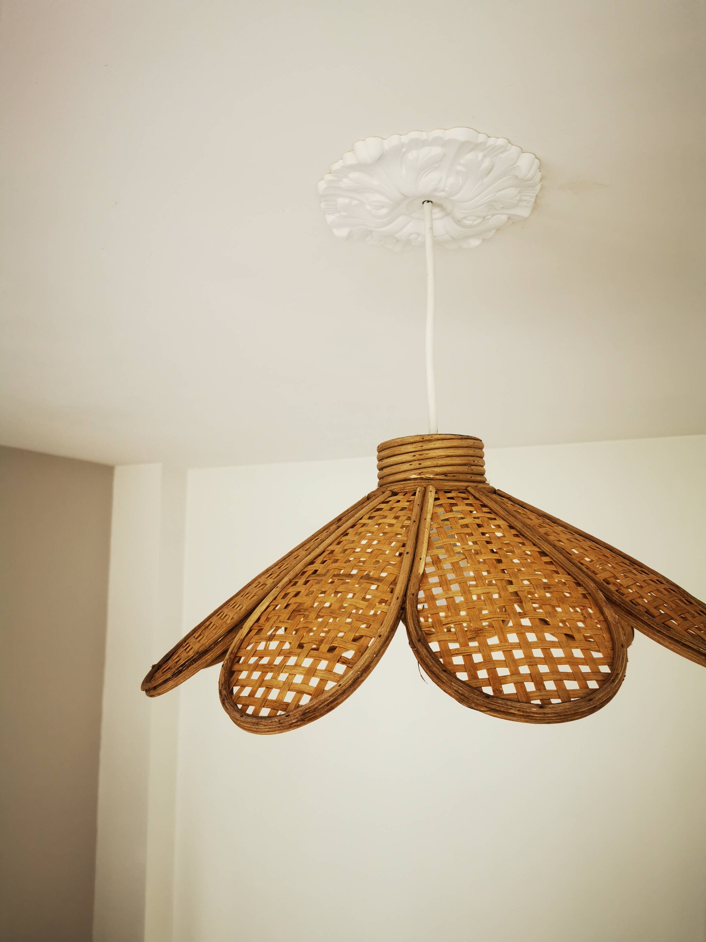 Bamboo rattan suspension and canning