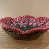 Dish