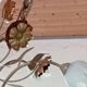 Monumental copper Florentine chandelier from the 1980s.
