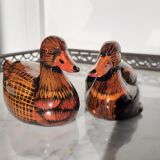 Couple of ducks