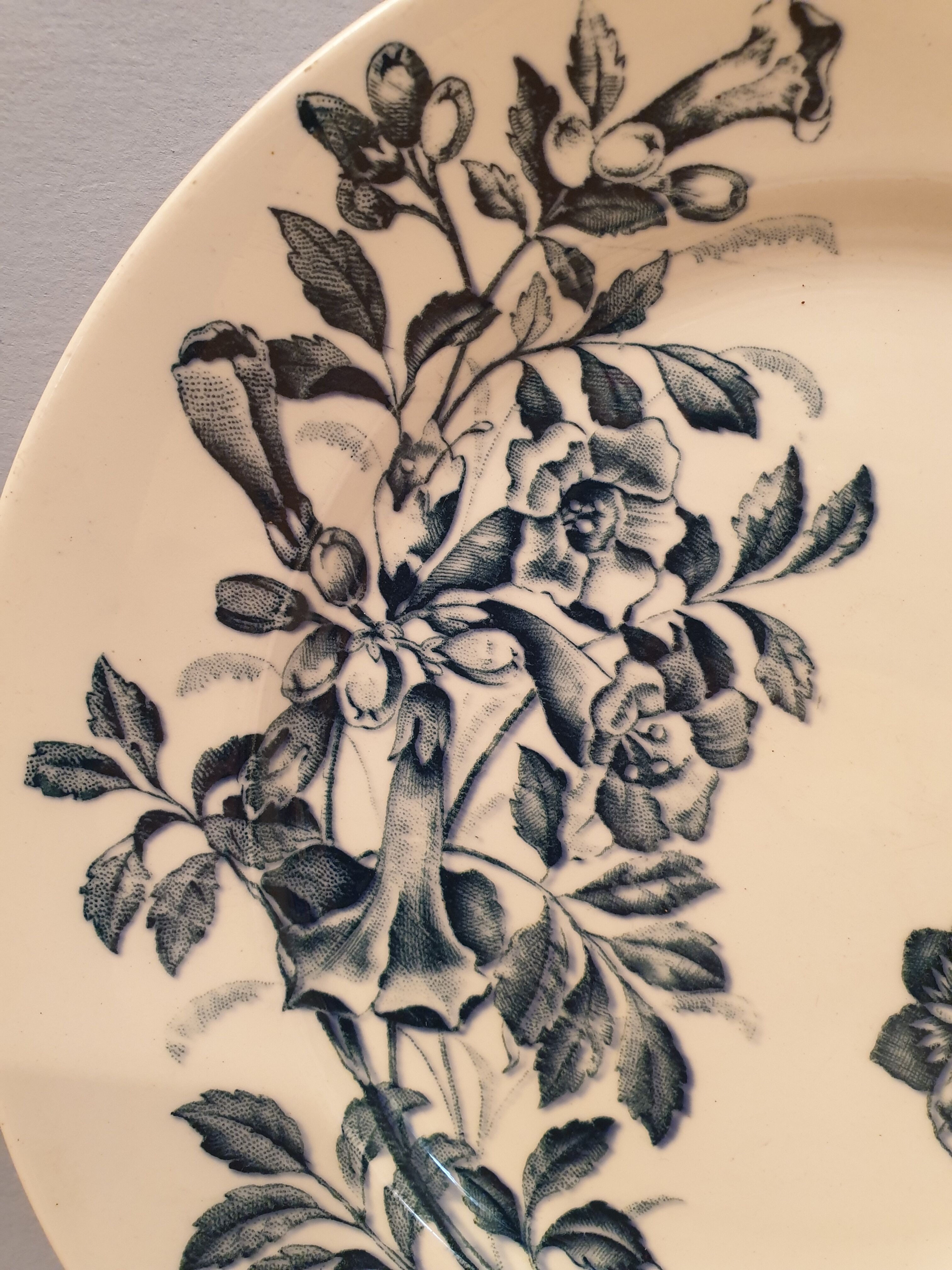 Flat plate Badonvillers