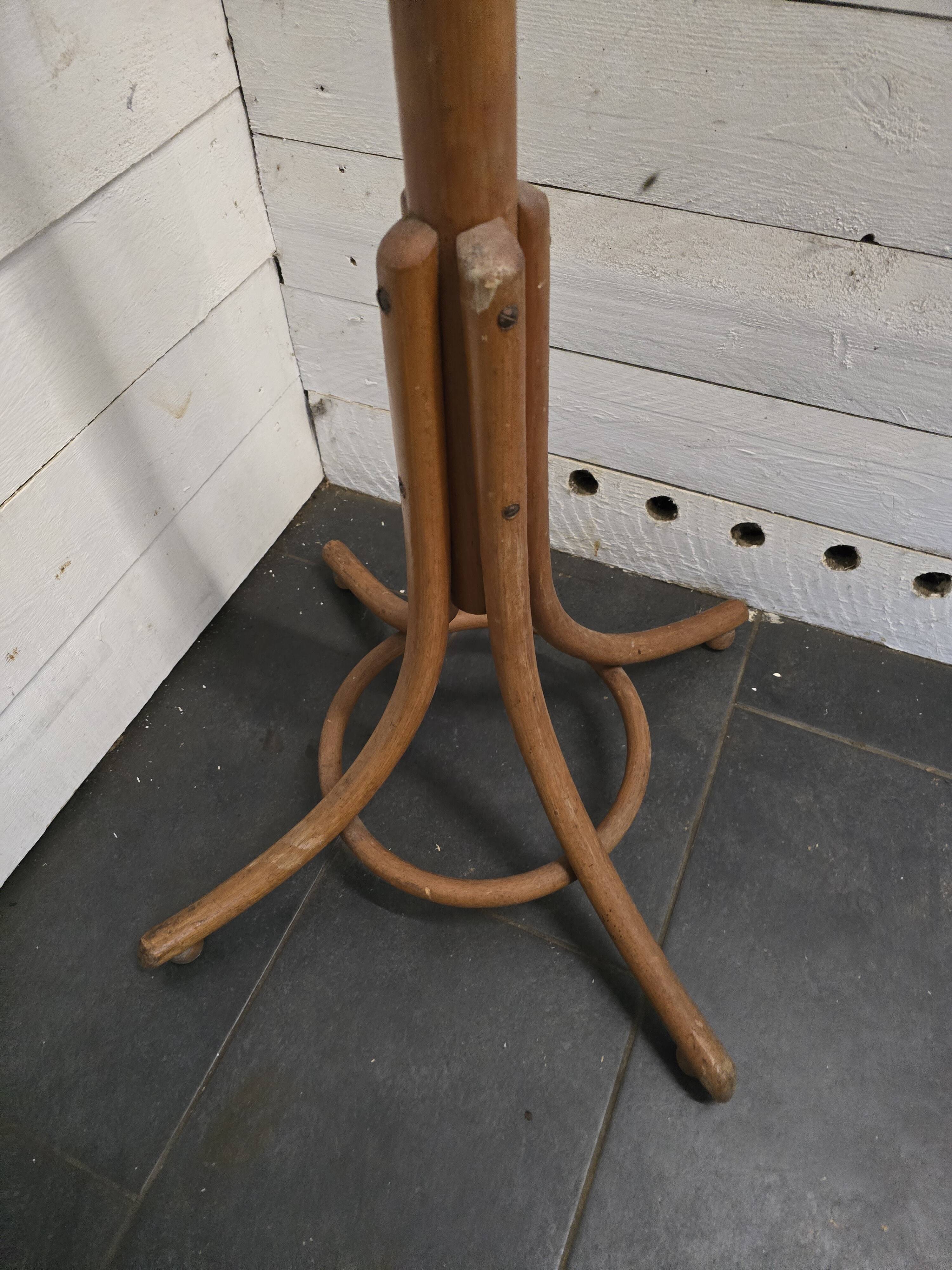 Parrot coat rack in curved wood