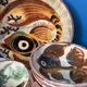 Service en céramique Puigdemont, plat creux et 6 coupelles décor poisson