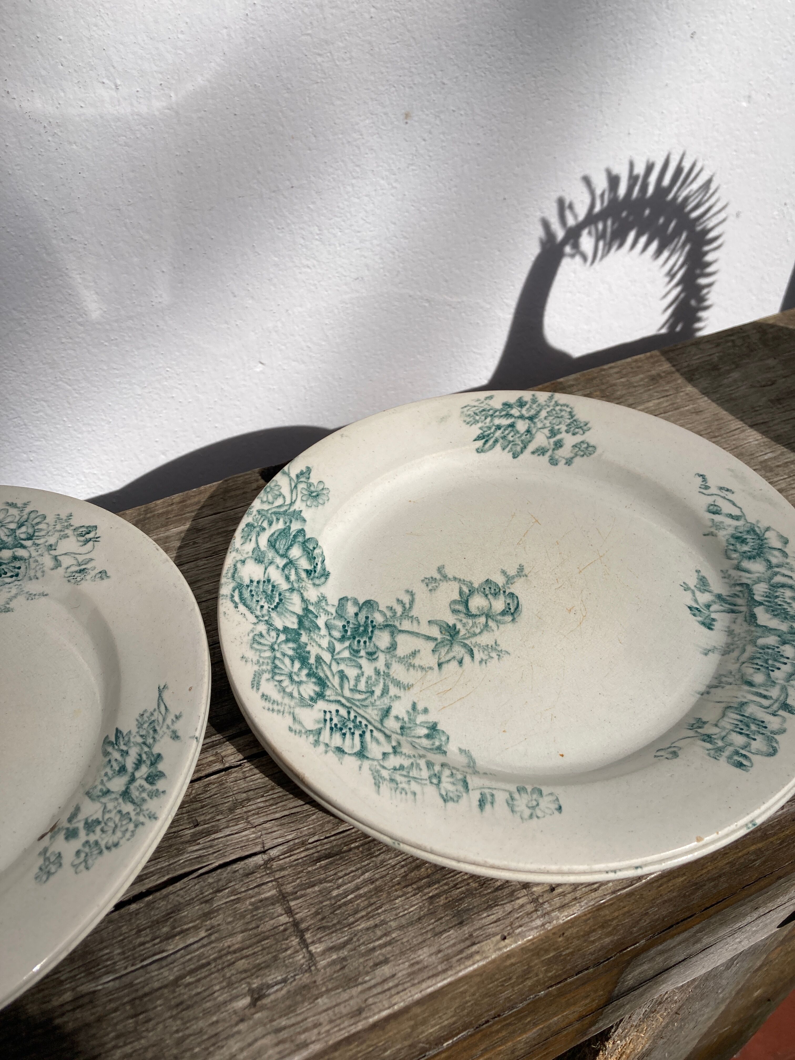 8 Terre de fer plates Anémones Bertrand Bordeaux old in green ceramic decorated with flowers