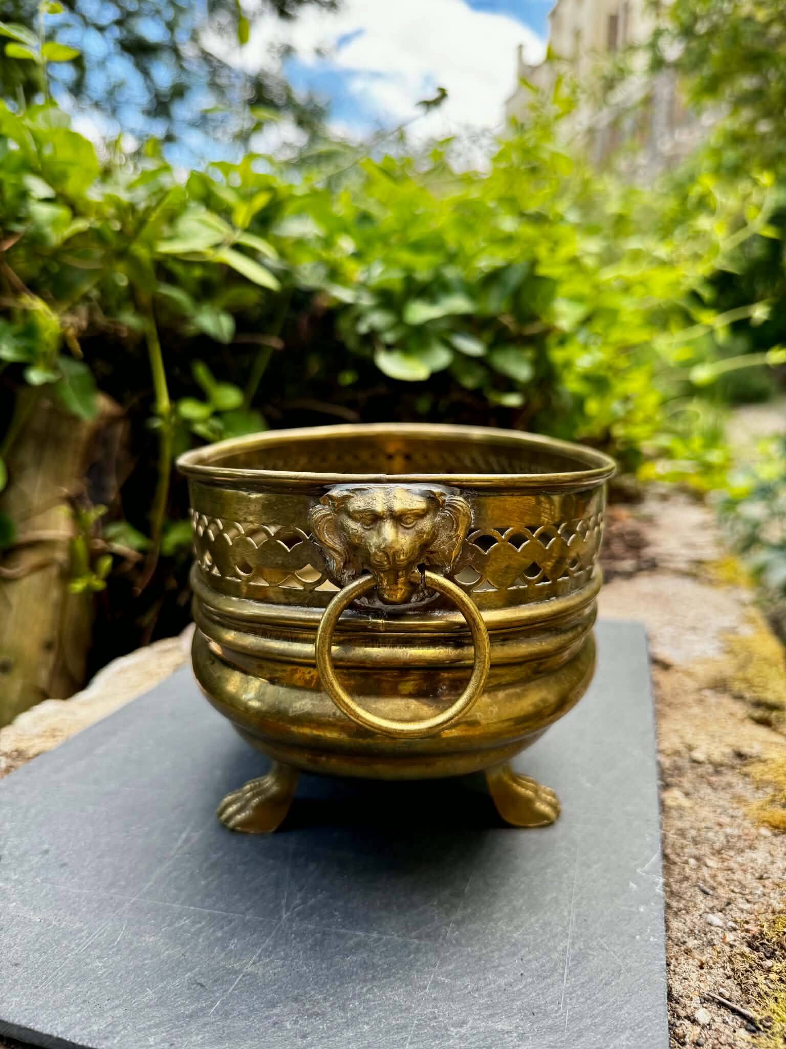 Brass lion jardinière 19th century baroque