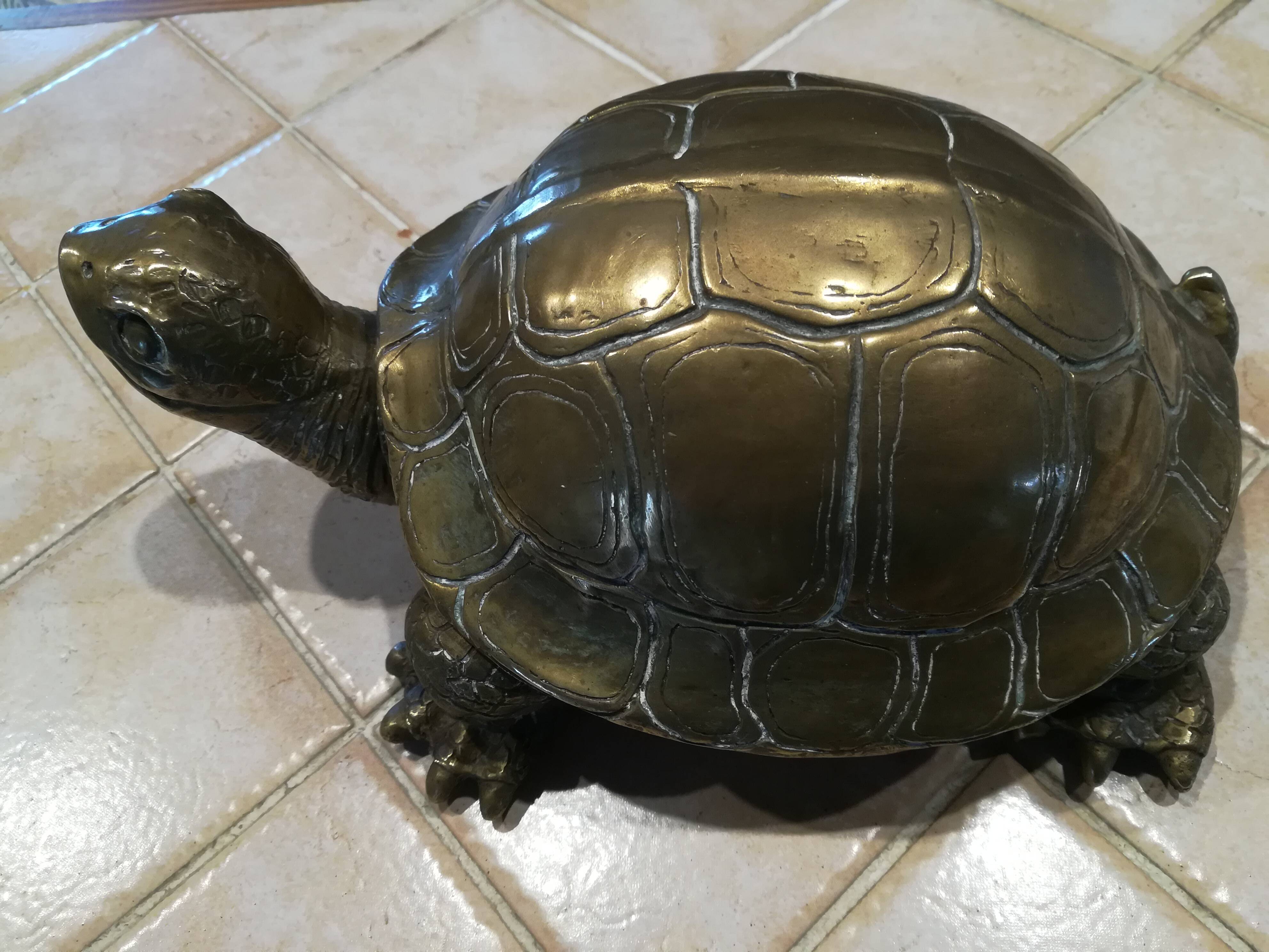 20th century brass turtle with golden patina