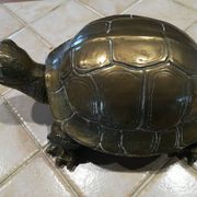 Tortue en laiton xxe patine dorée