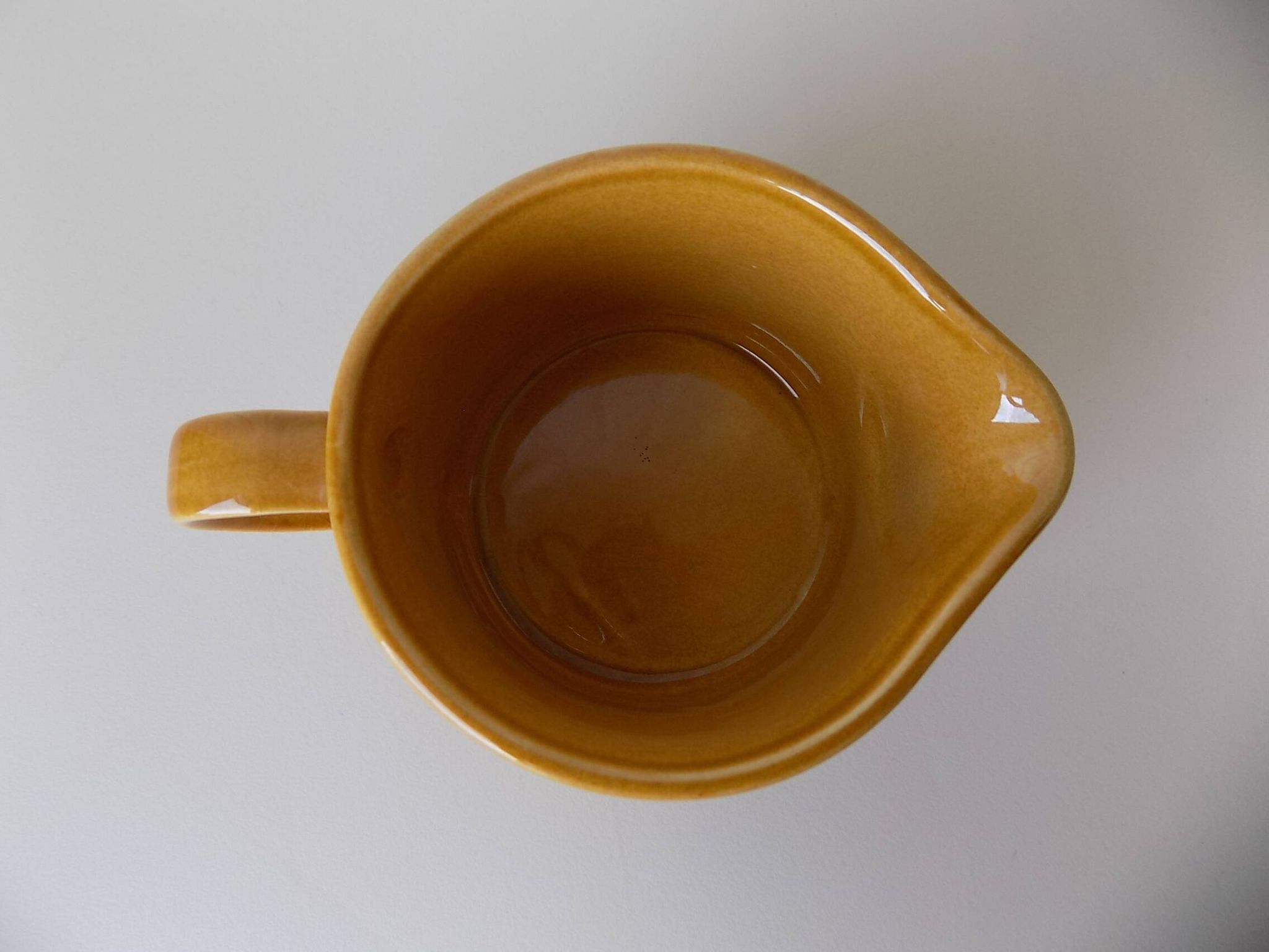 Small Palissy pitcher (vintage)