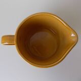 Small Palissy pitcher (vintage)