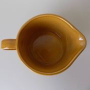Small Palissy pitcher (vintage)