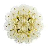Mid-century floral ceiling light in Murano glass by Ernst Palme, Germany, 1970s