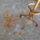 Parrot coat rack in curved wood - Art Nouveau