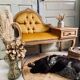 Restored vintage bench – “chat” furniture with integrated drawer