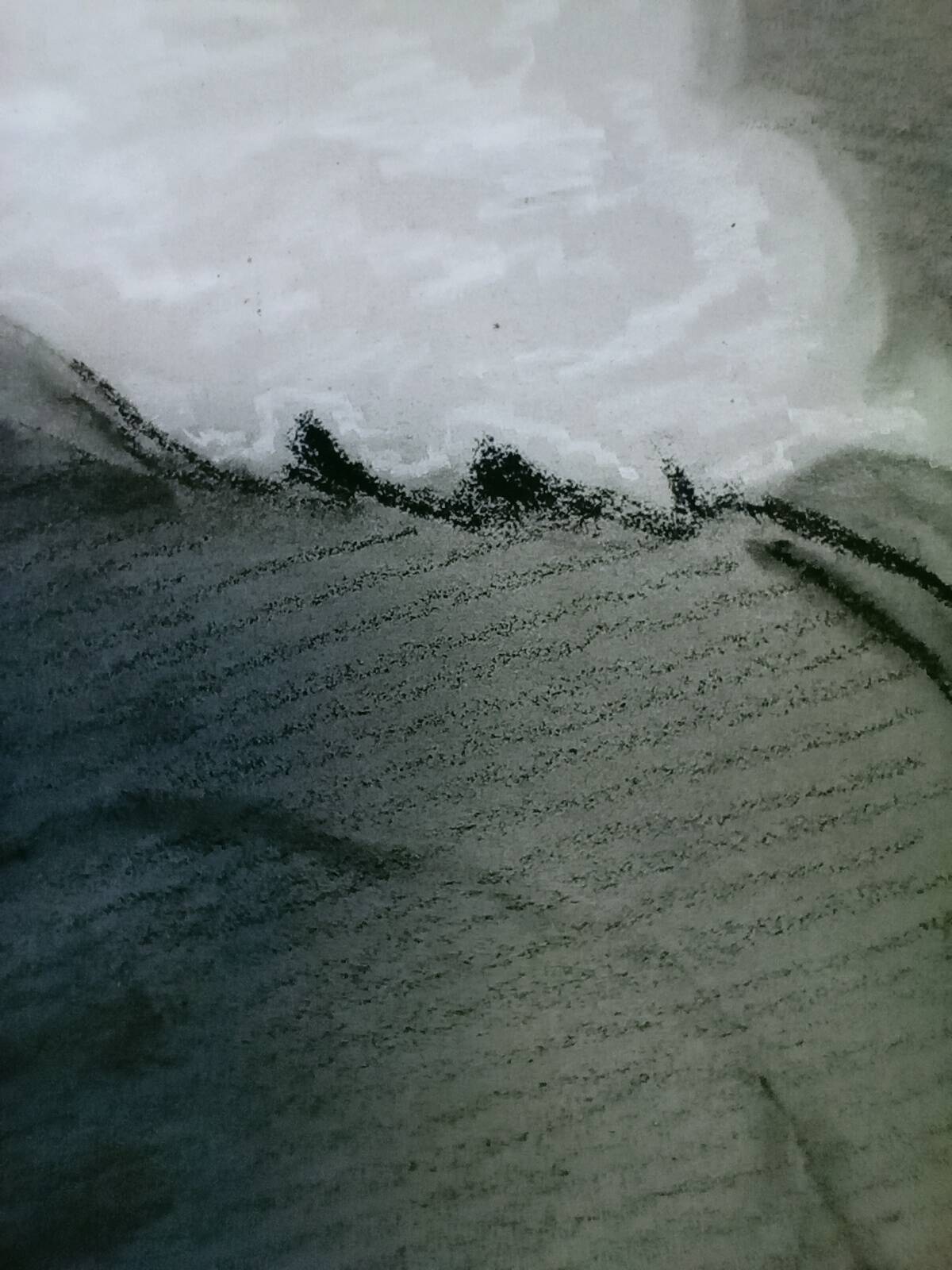 Magnificent portrait pencil drawing 19th century