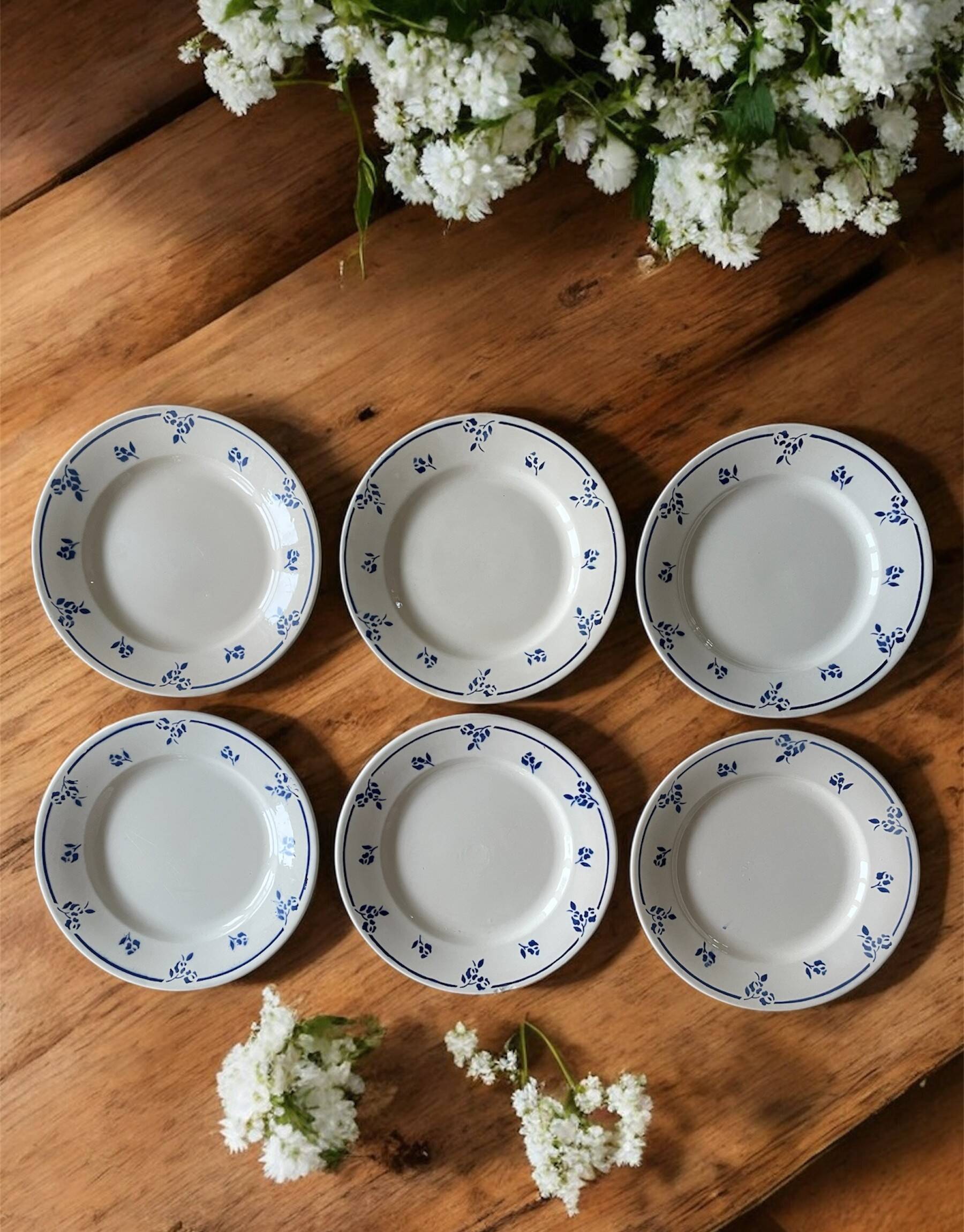 6 antique flat plates in Sarreguemines earthenware