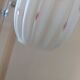 Opaline suspension