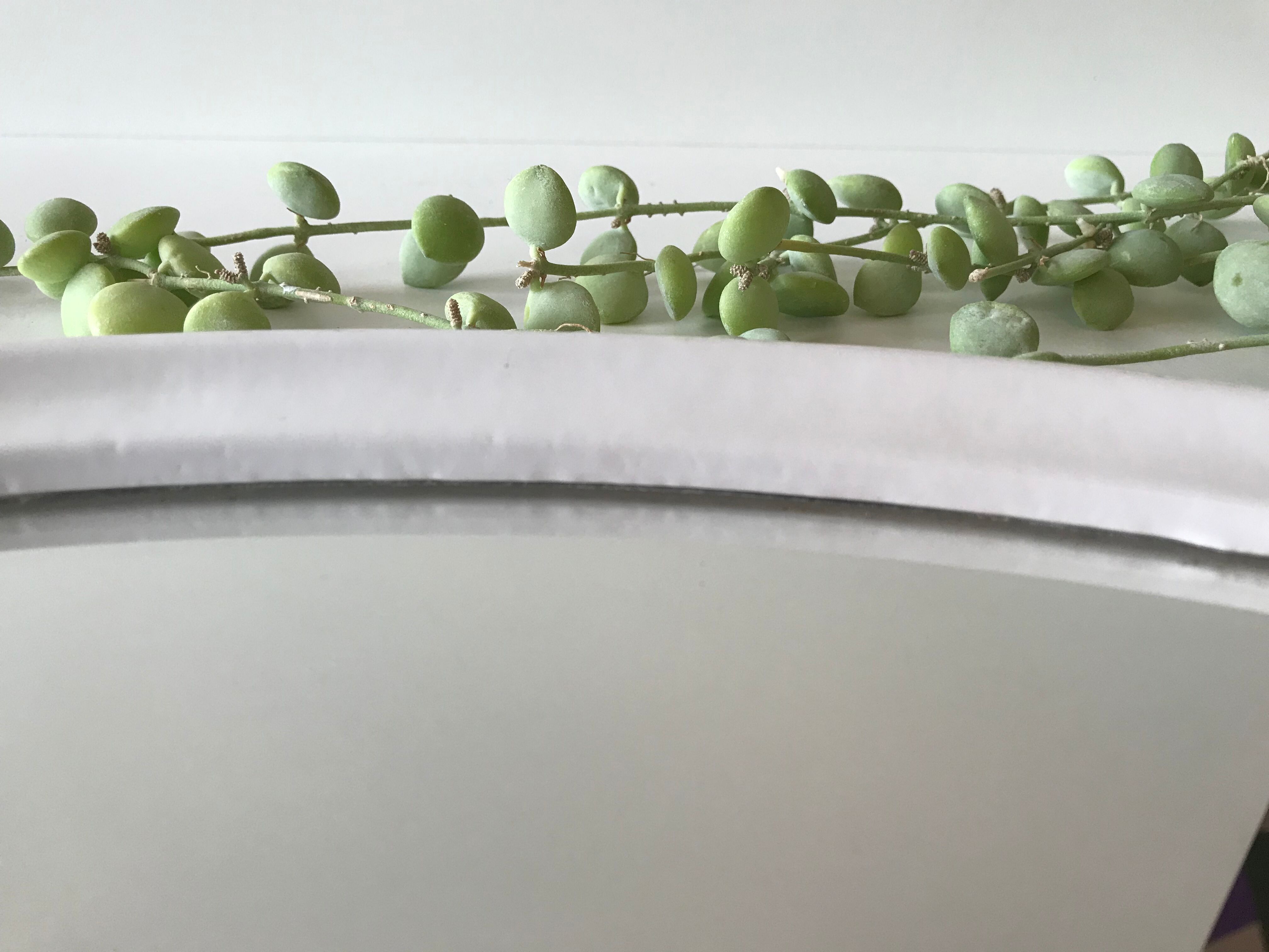 Pair of oval mirrors 39x49cm