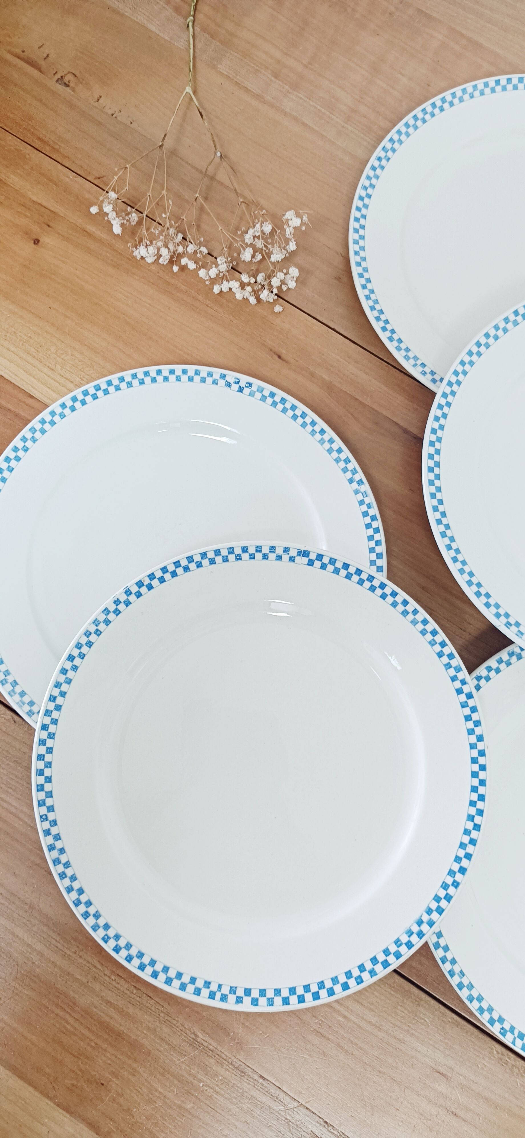 Set of 5 flat plates with blue checkerboard, Sarreguemines 19th