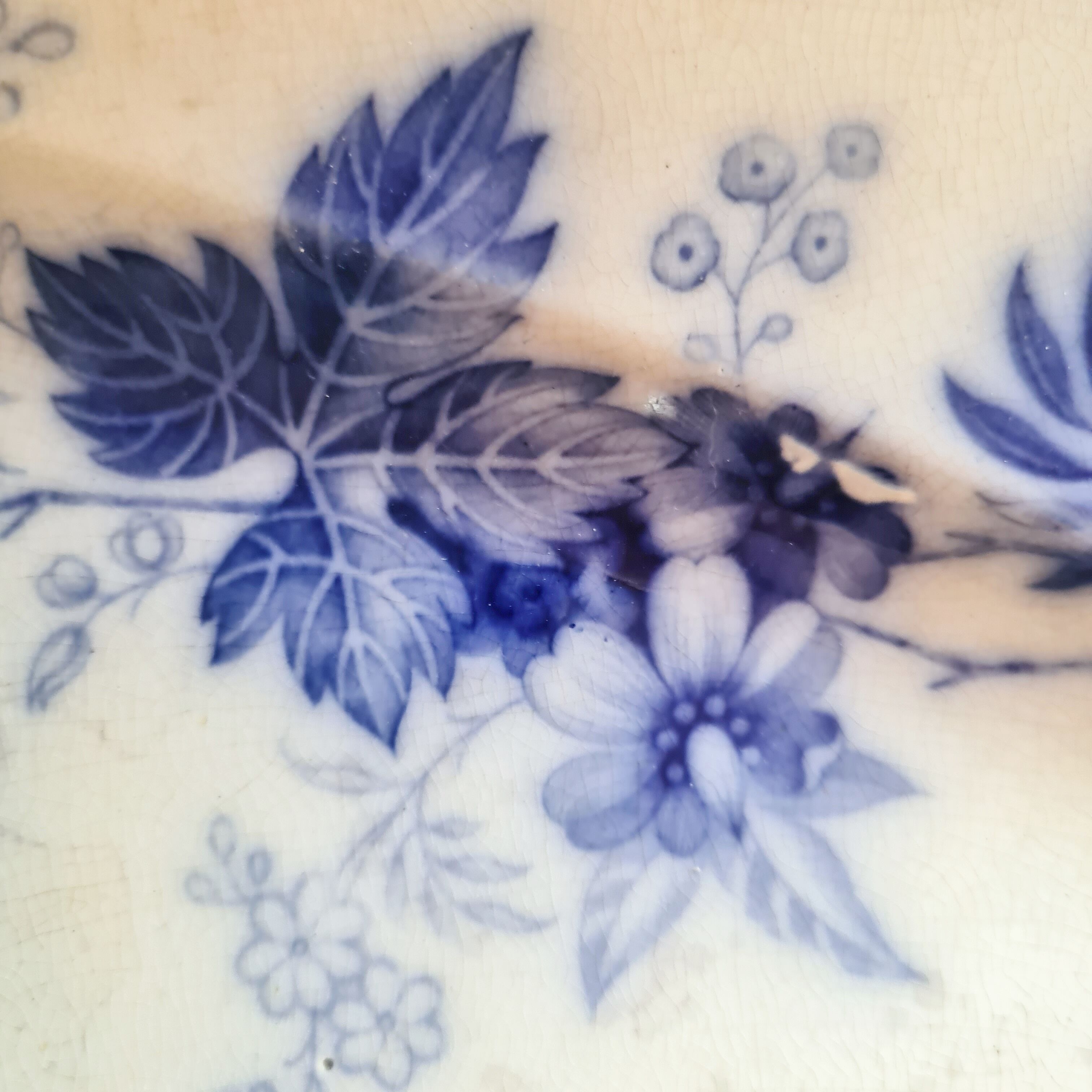 Ancient iron flat Wood and Brownfield England model Verbena blue around 1845