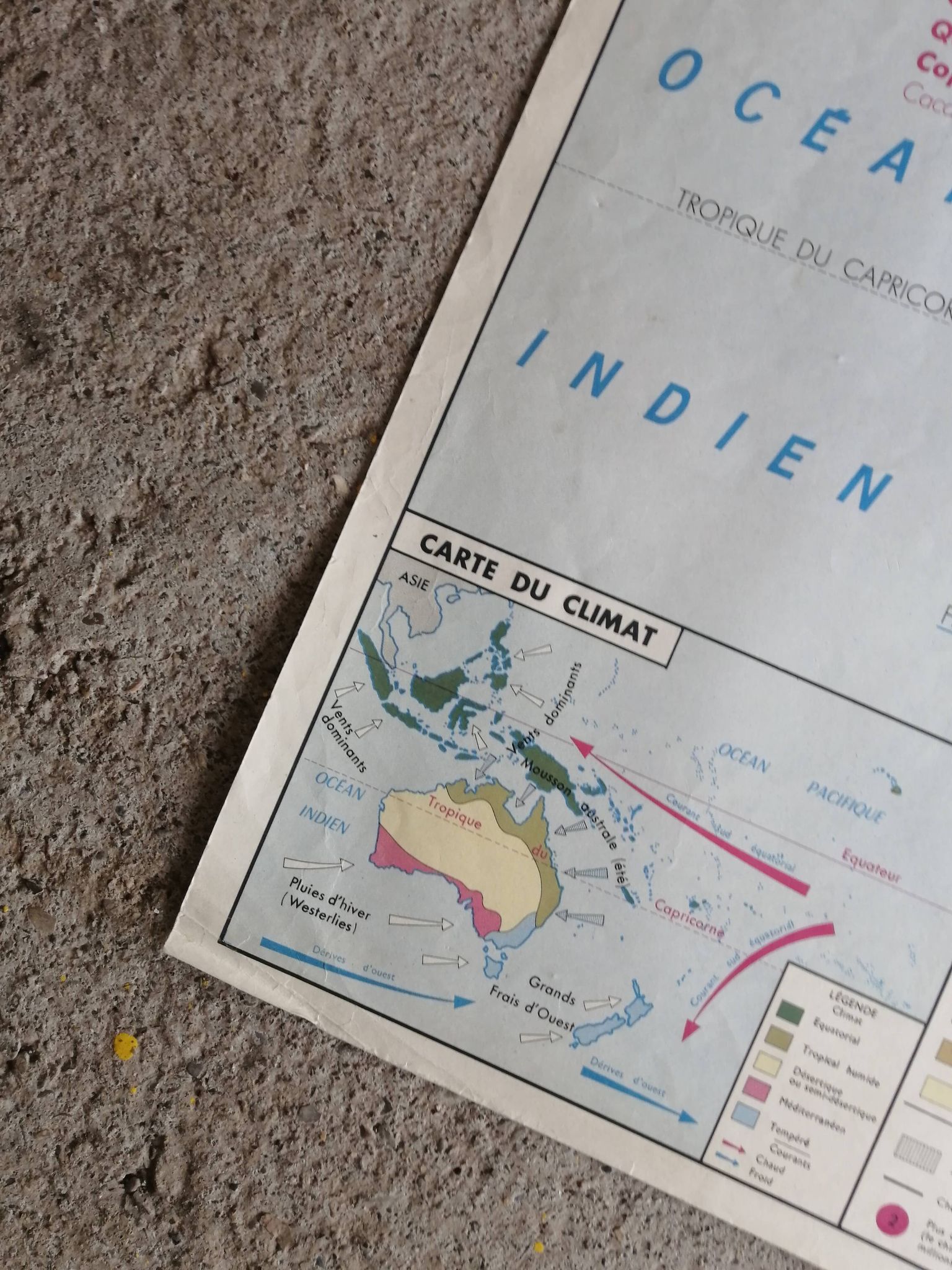 MDI school map: SOUTH AMERICA - OCEANIA fauna vegetation.