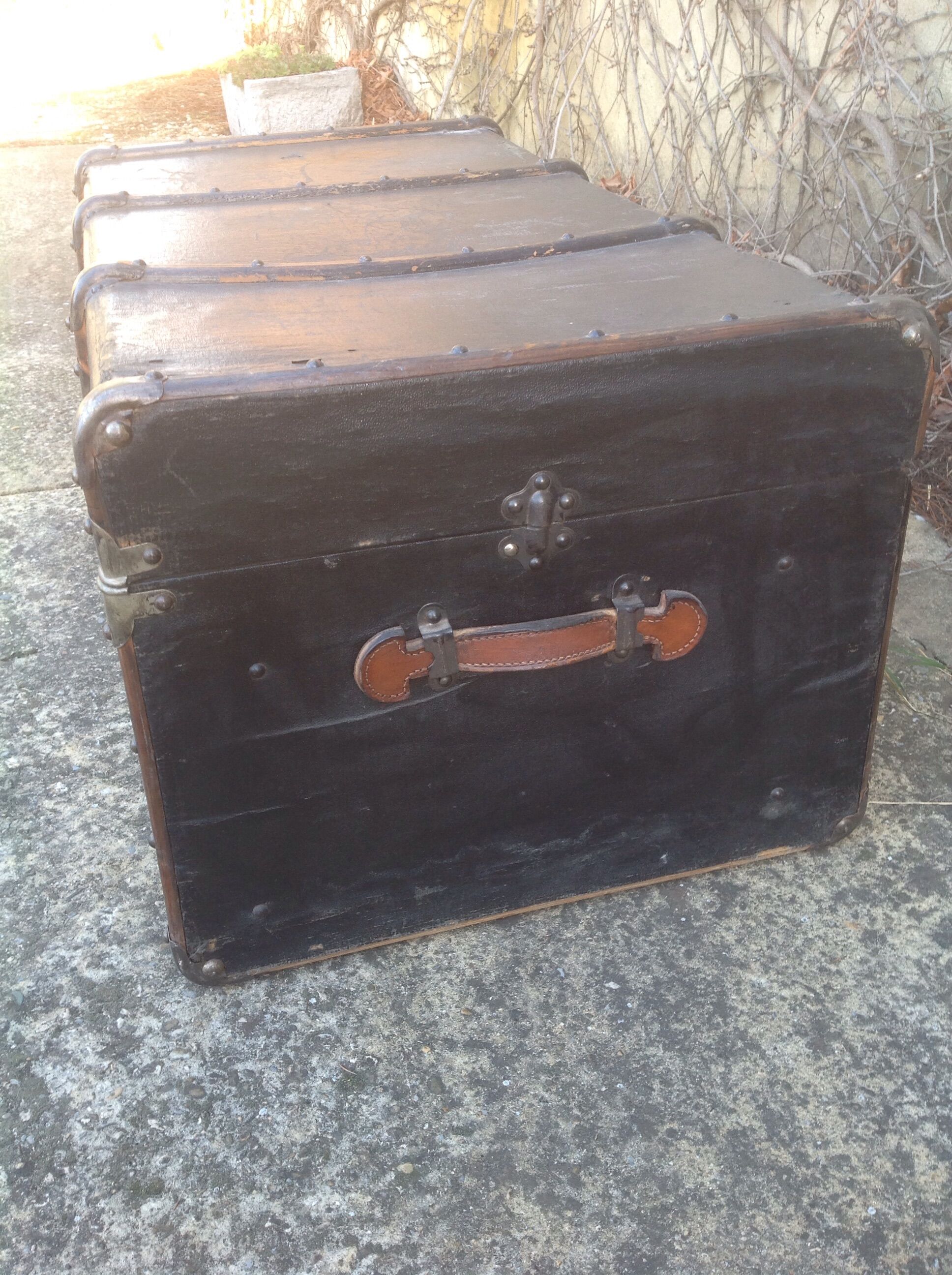 Travel trunk