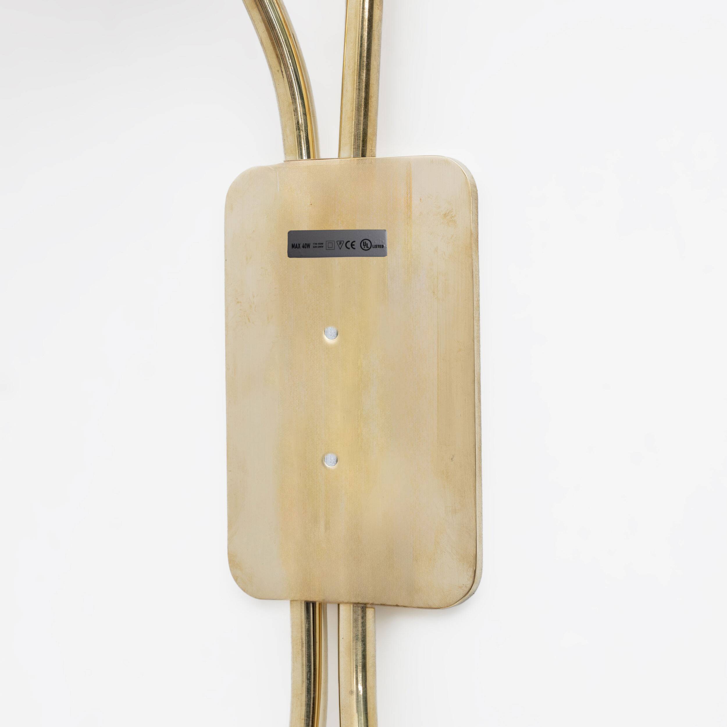 Pair of Tulips Murano Glass and Brass Sconces