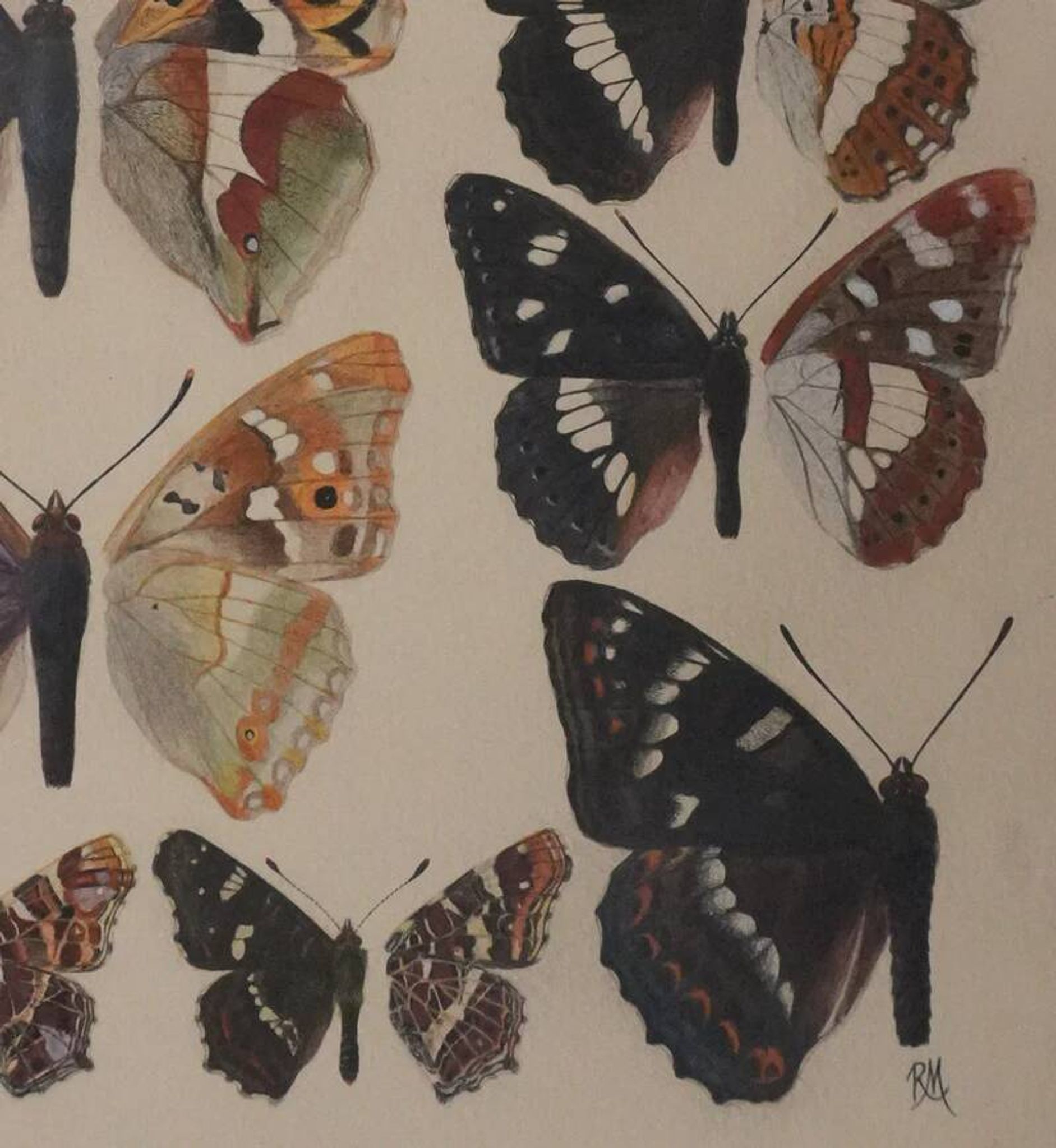 Roger metaye : papillons marrons et violets, aquarelle originale signée