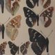 Roger metaye: brown and purple butterflies, original signed watercolor