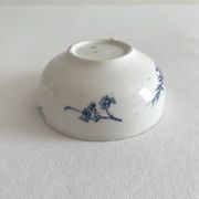 Antique ironstone cup "Carmen" Sarreguemines