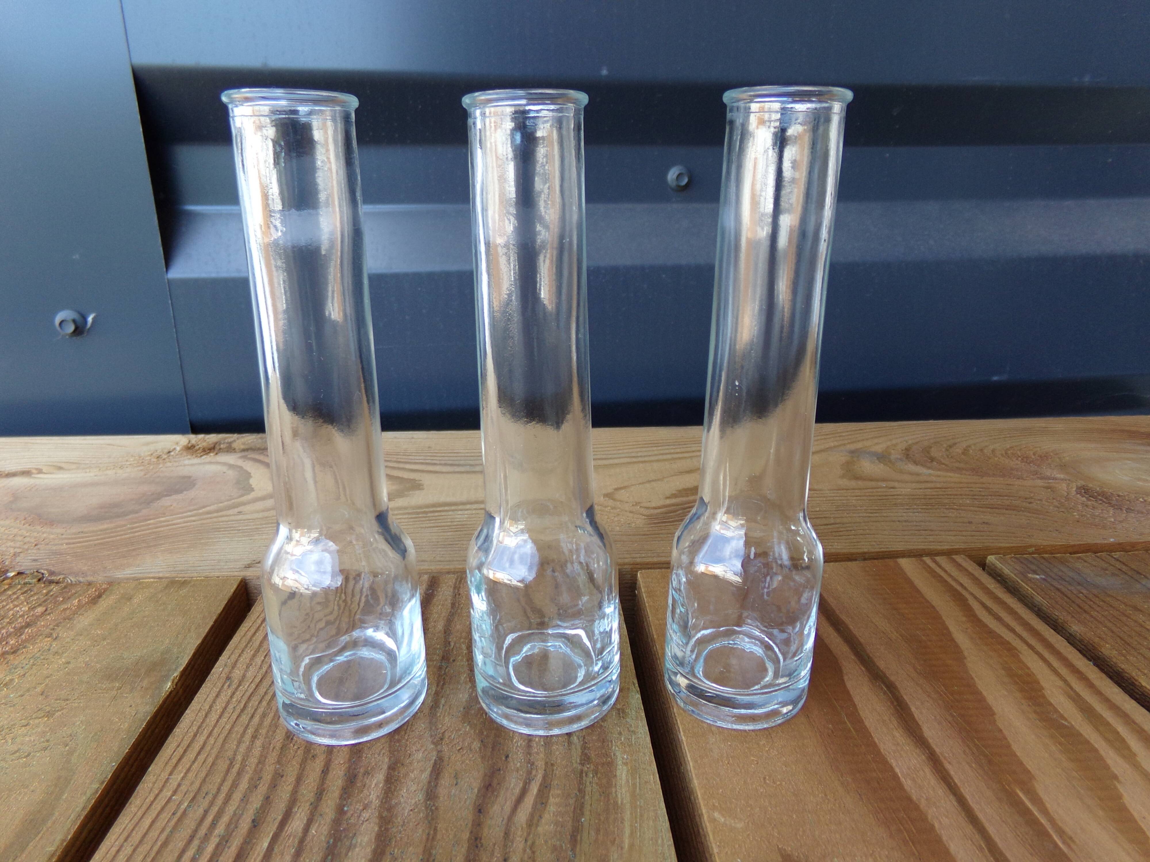 3 minimalist glass soliflores