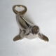Sea lion bottle opener