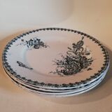 Set of 4 flat plates