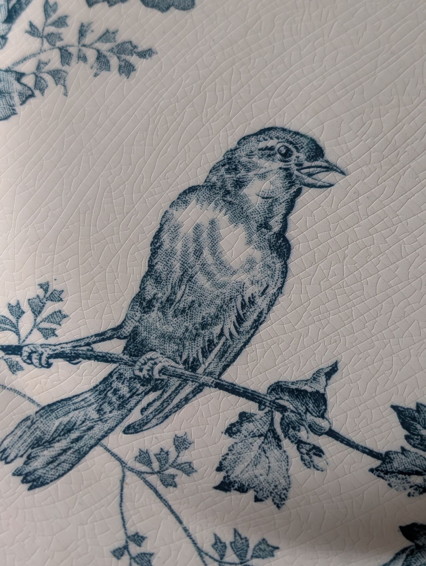 Flat plate Longwy "Mésange" – Terre de Fer, late 19th century