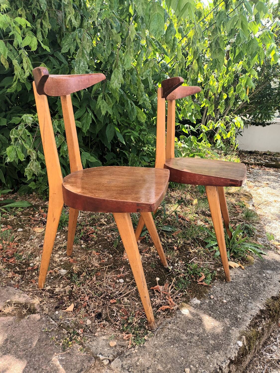 Stella Antelope Chairs