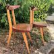 Chaises Antilope Stella