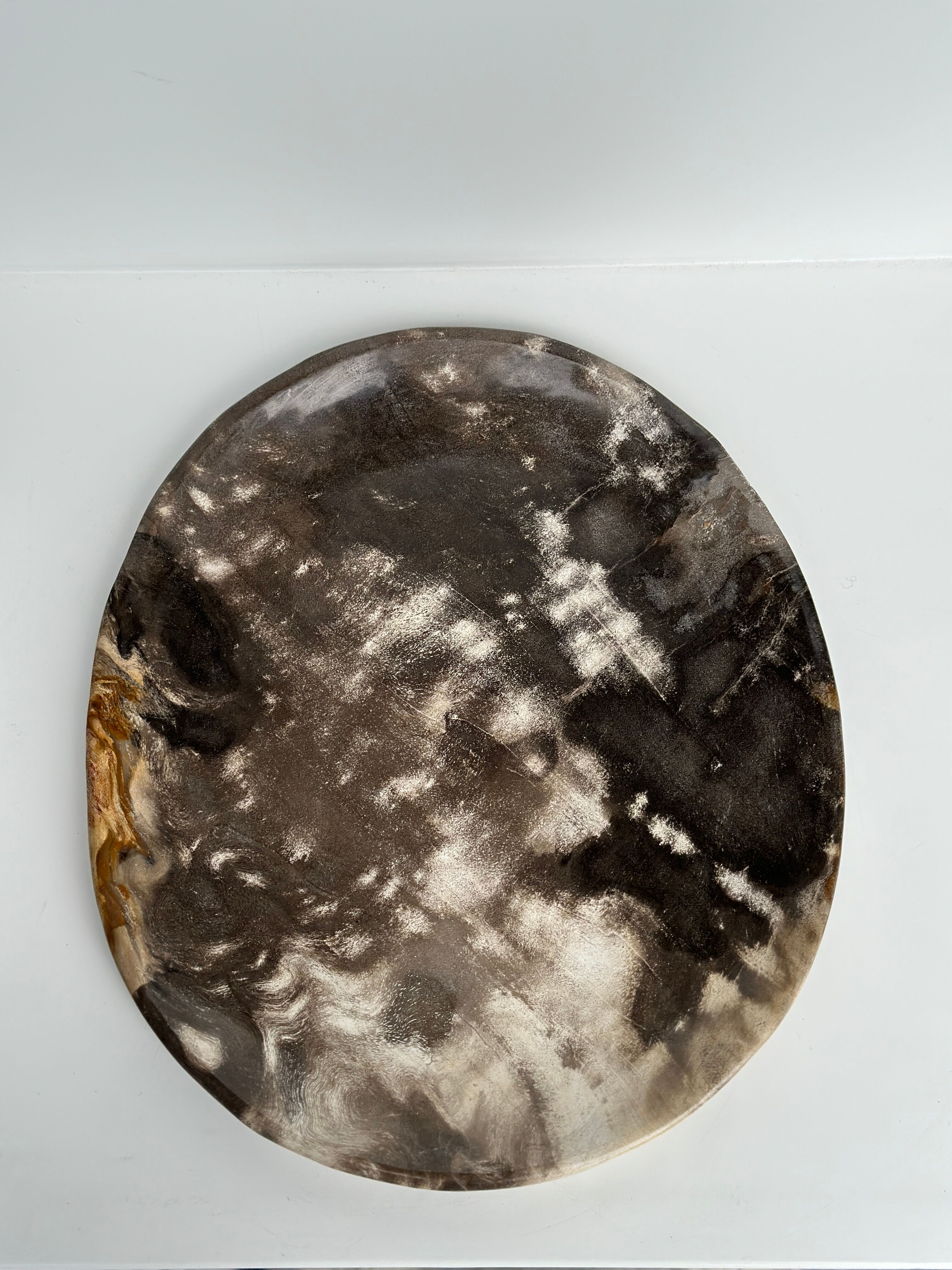 Dish in petrified wood