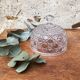 Vintage moulded glass bell