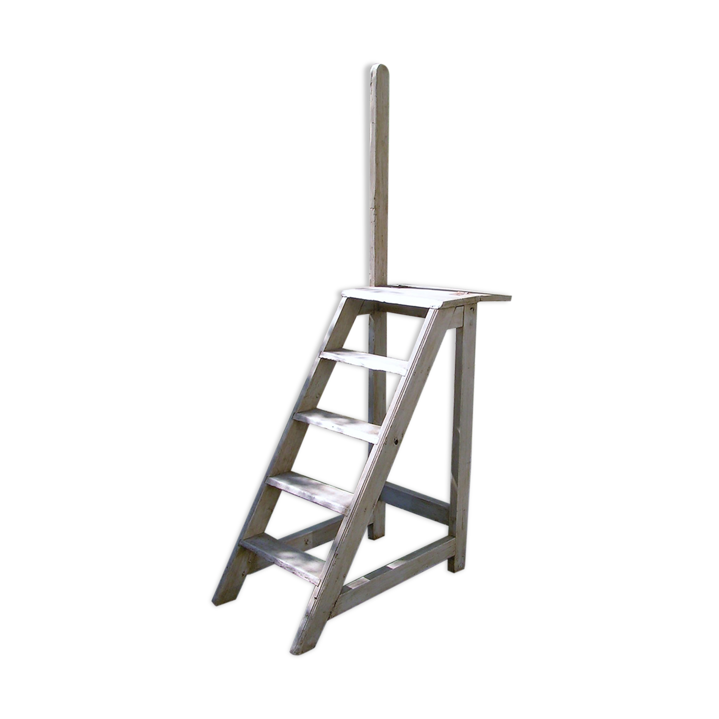Library ladder