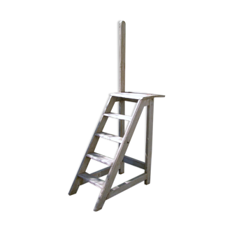 Library ladder