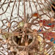Vintage bird cage