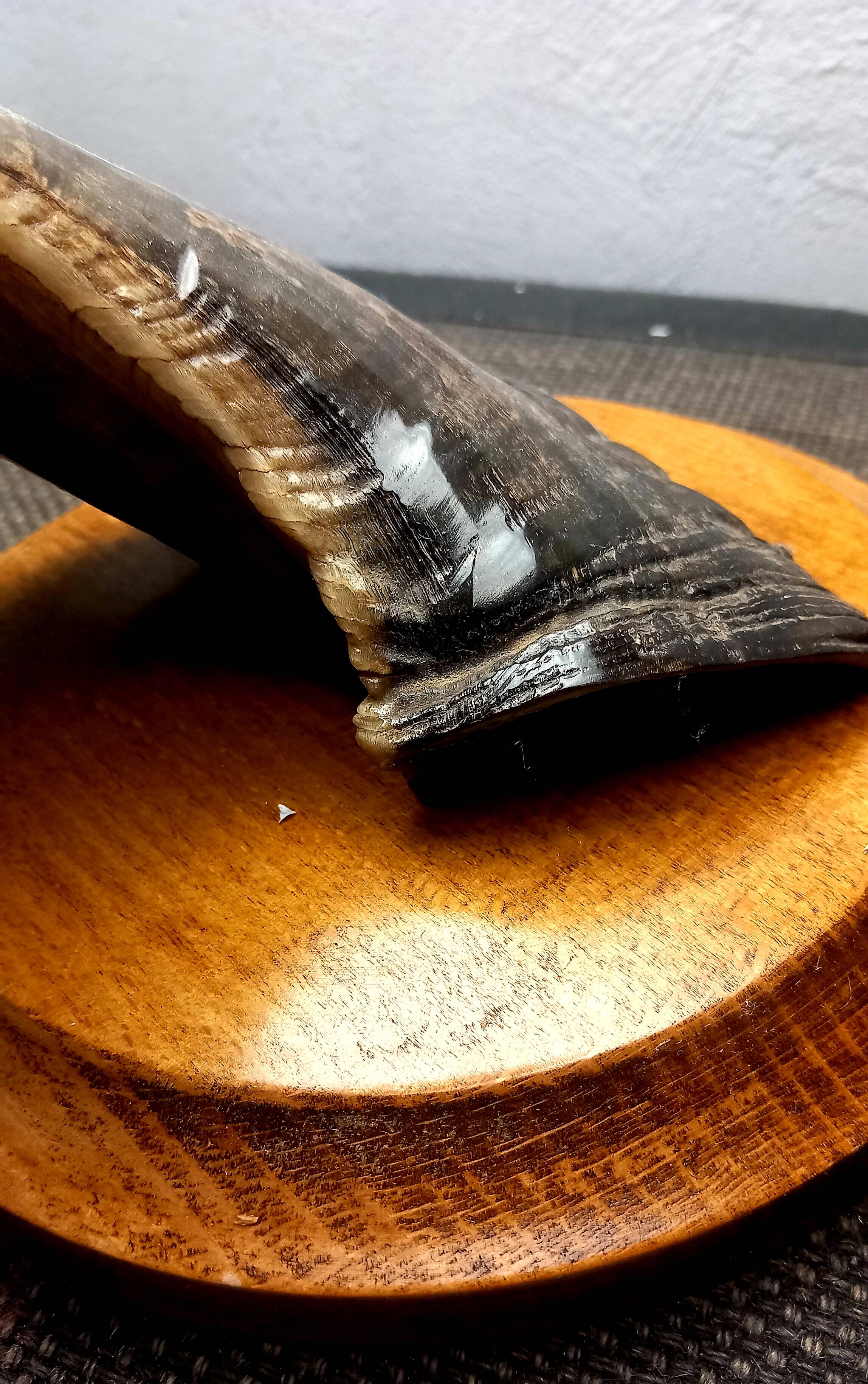 Brutalist Ram's Horn Living Room Lamp 1970