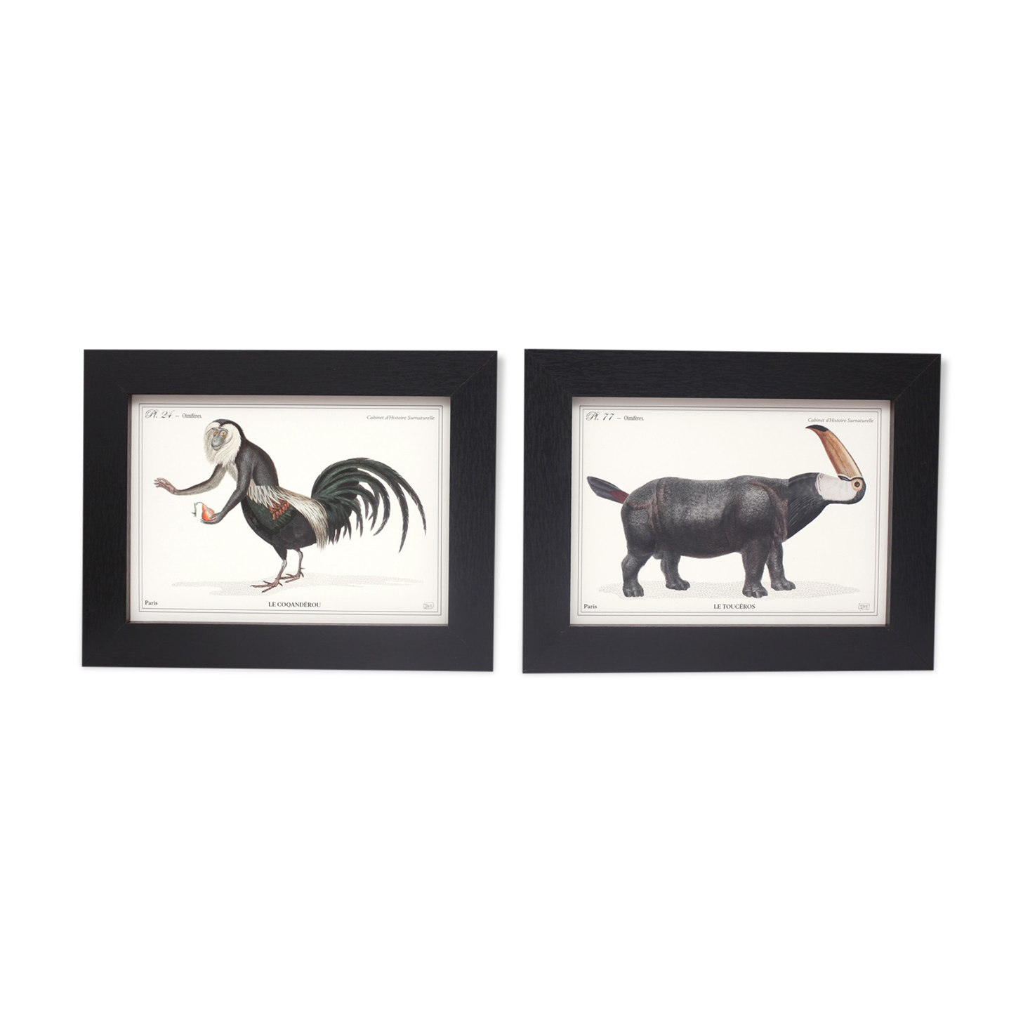 Set of 2 framed chimera lithograph animal engraving
