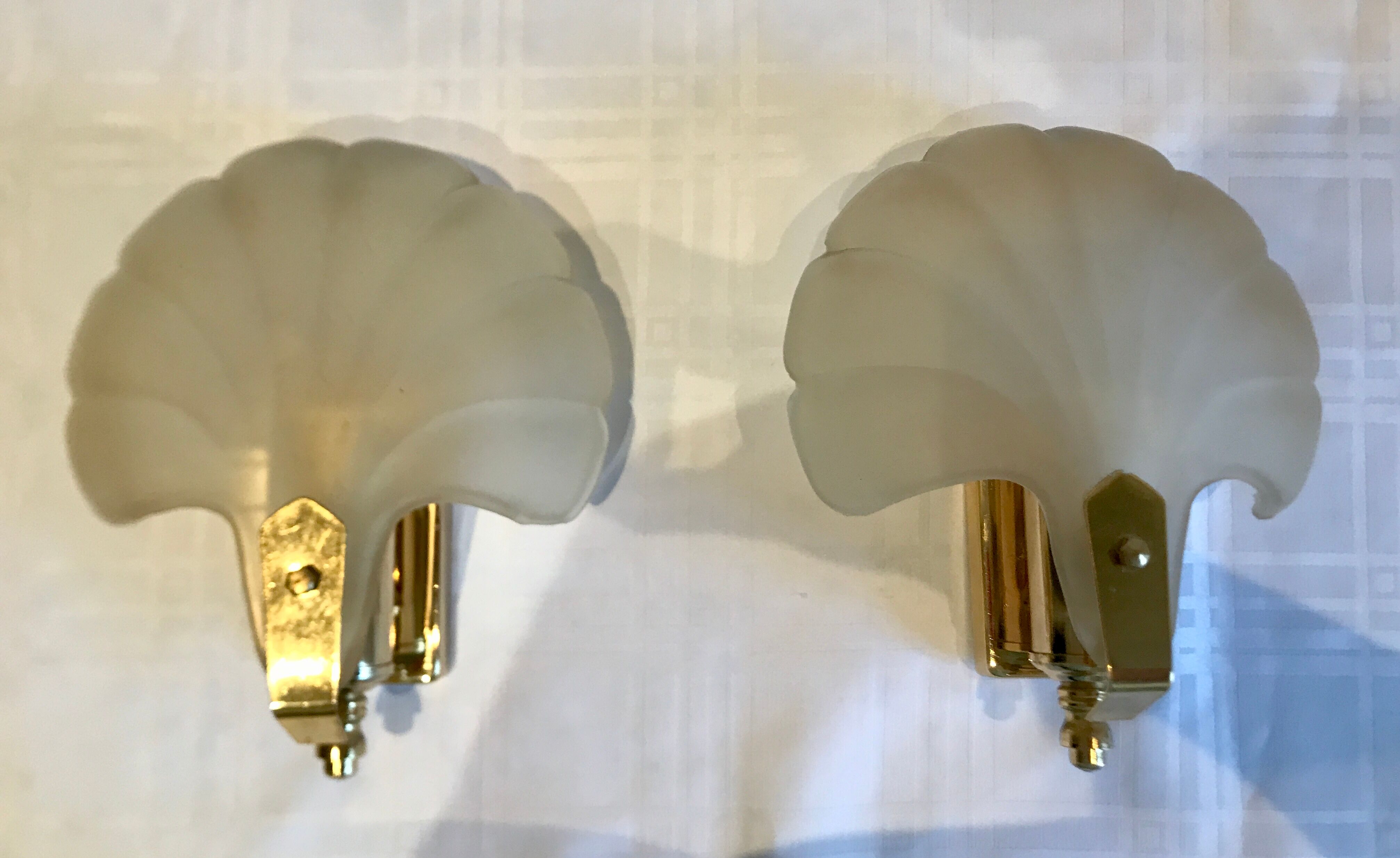 Pair of shell sconces
