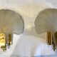 Pair of shell sconces
