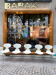 5 ant chairs by Arne Jacobsen