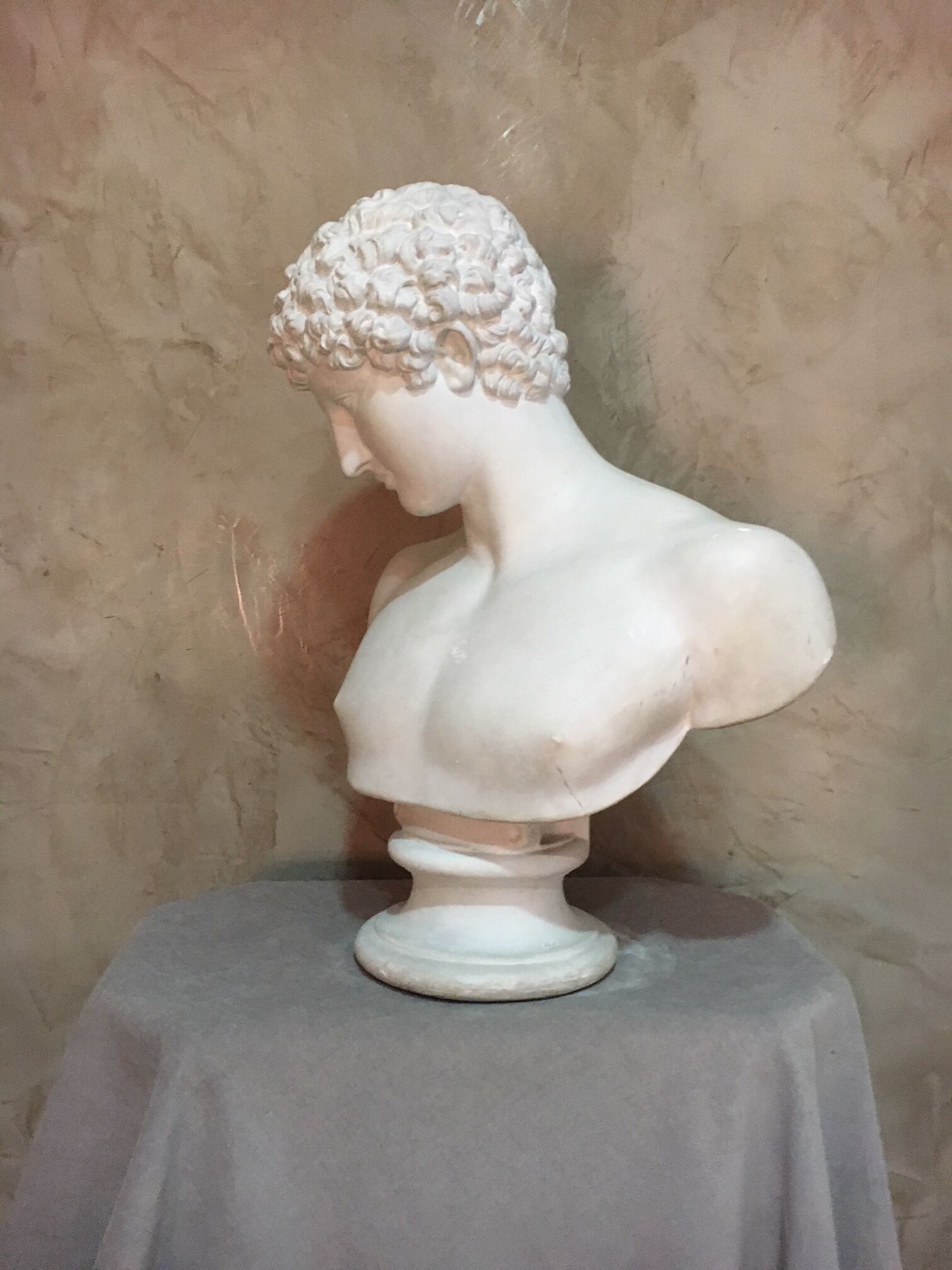 Apollo plaster bust