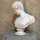 Apollo plaster bust
