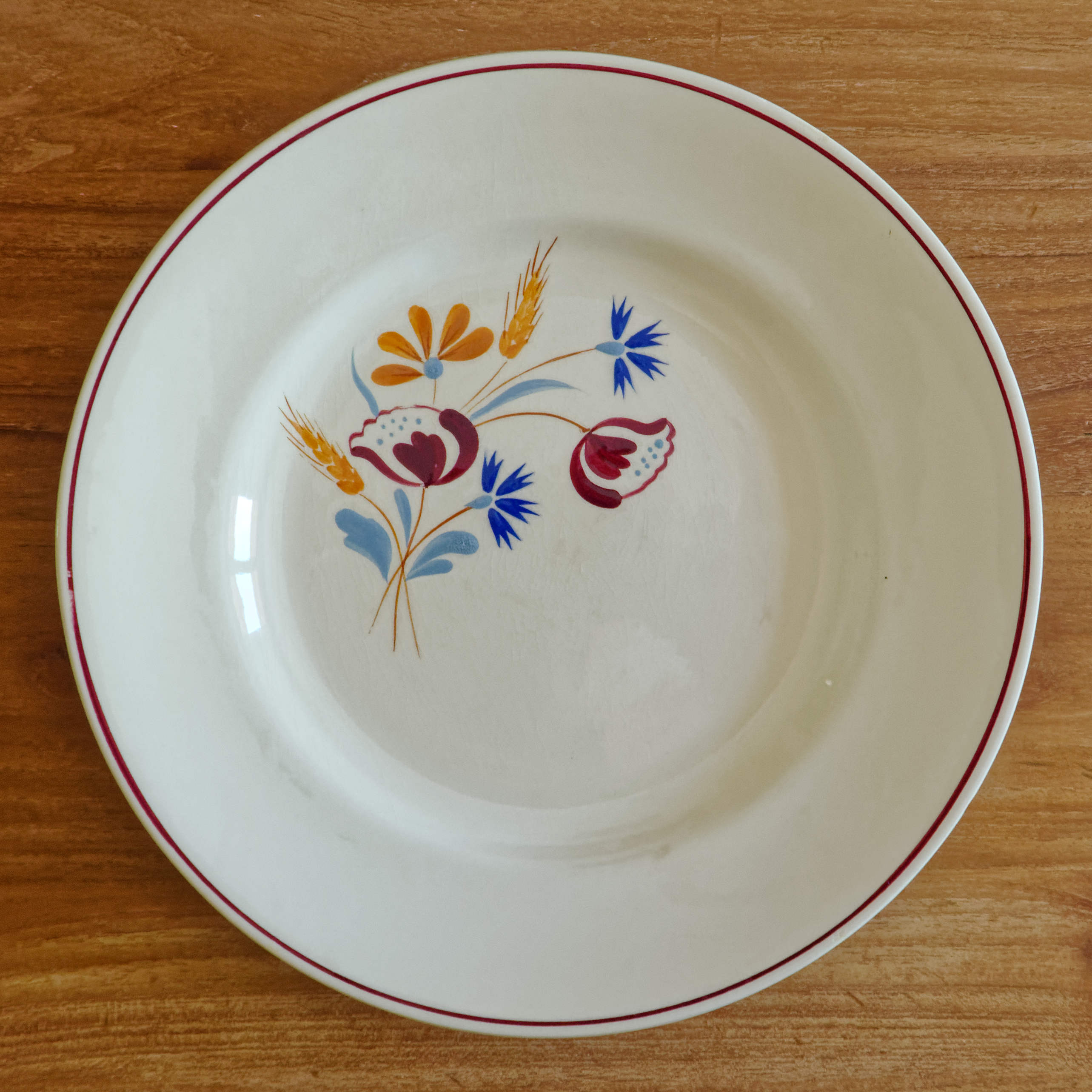 Lot 6 old plates Salins France
