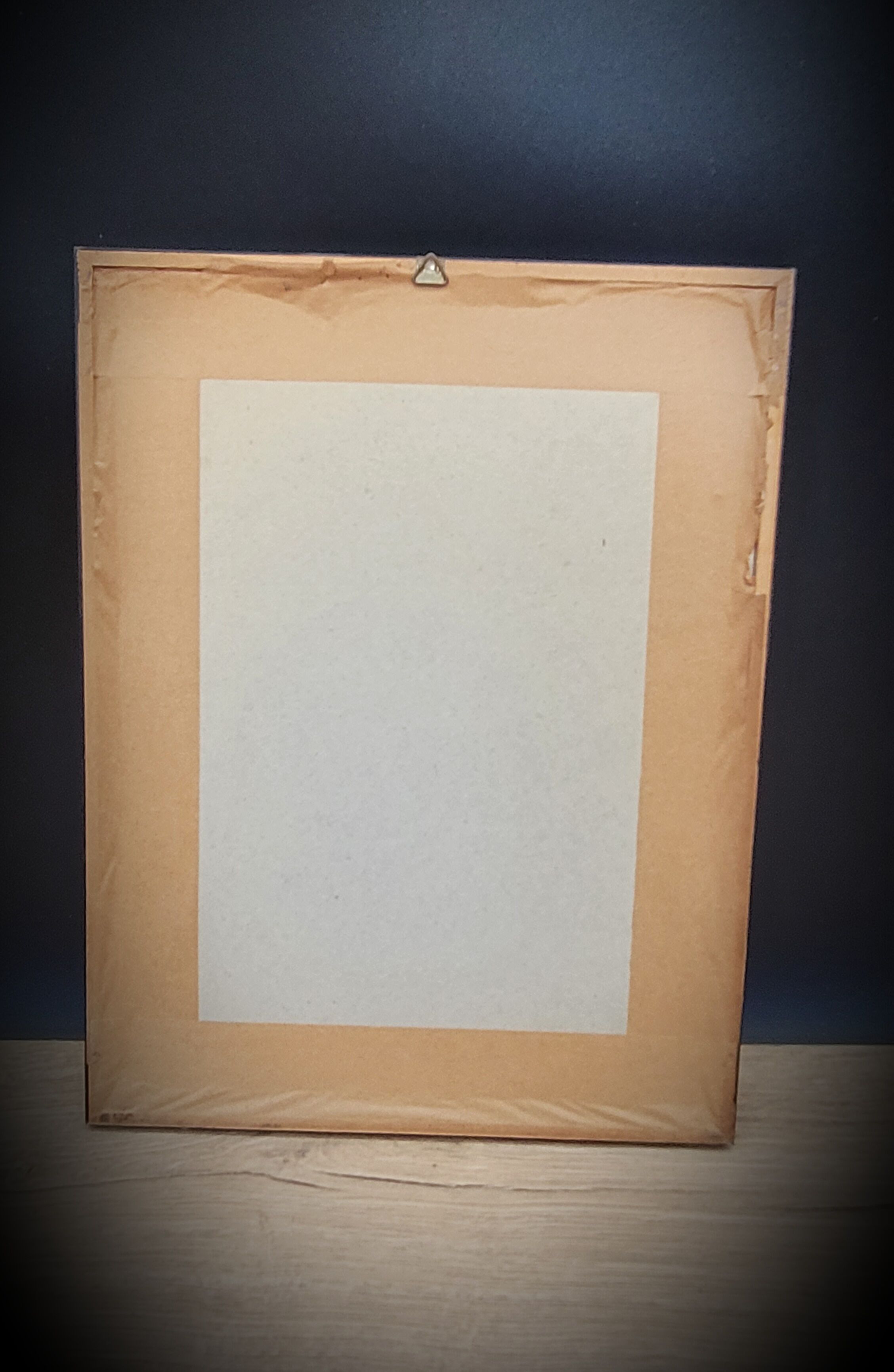 Lithograph rose one hundred leaf cristata